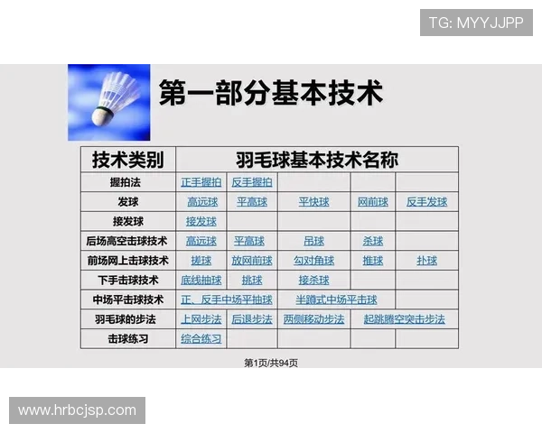 杭州羽毛球队在挑战赛中的默契配合与战术执行分析 杭州羽毛球队在挑战赛中的默契配合与战术执行分析