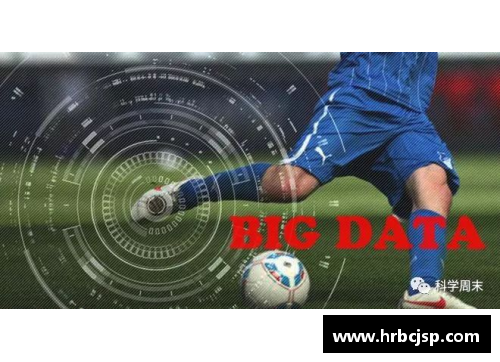 日本球员Havenaar：职业生涯与个人成就全面解析