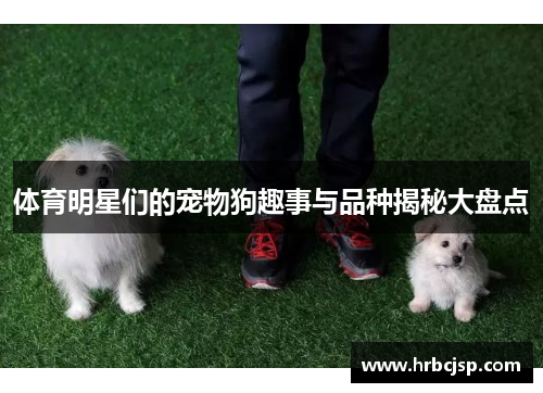 体育明星们的宠物狗趣事与品种揭秘大盘点