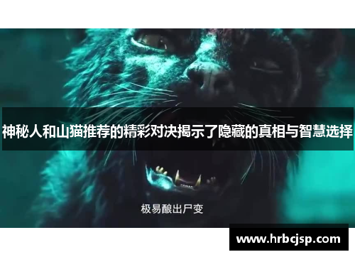 神秘人和山猫推荐的精彩对决揭示了隐藏的真相与智慧选择